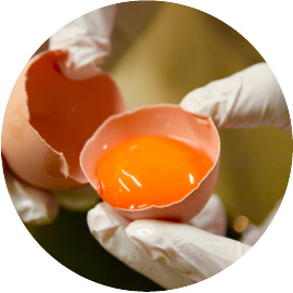 うれしいプリンについて